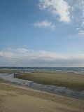 幕張の浜