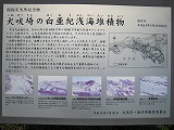 犬吠埼の白亜紀浅海堆積物