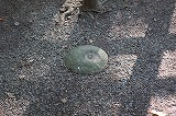 鹿島神宮 要石