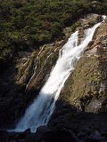 屋久島 大川の滝