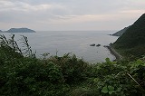 久賀島 亀河原の椿林