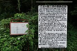 宇久島 三浦神社