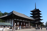興福寺 東金堂・五重塔