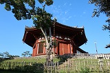 興福寺 南円堂