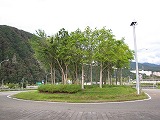 関越自動車道・高速バス 湯沢バス停 バス停前の木