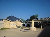 沖縄本島 海洋博公園 美ら海水族館
