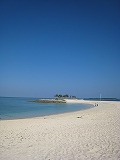 沖縄本島 海洋博公園 美ら海水族館