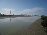 沖縄本島 漫湖