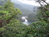 西表島 マリユドゥの滝