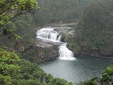 西表島 マリユドゥの滝