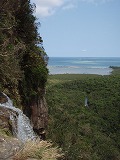 西表島 ヒナイ川・ピナイサーラの滝