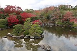 万博記念公園 日本庭園 心字池
