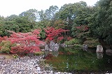 万博記念公園 日本庭園 深山の泉