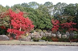万博記念公園 日本庭園 深山の泉