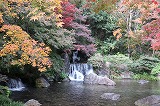 万博記念公園 日本庭園 木漏れ日の滝