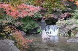 万博記念公園 日本庭園 木漏れ日の滝