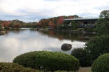 万博記念公園 日本庭園 心字池