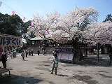 川越大師 喜多院