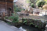 三井寺 閼伽井石庭