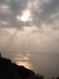千羽海崖