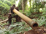 母島 静沢の森遊歩道 十年式十二糎高角砲
