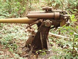 母島 静沢の森遊歩道 十年式十二糎高角砲