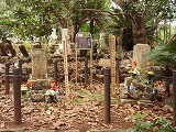 母島 ロルフスとモットレイ夫妻の墓