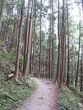 熊野古道 中辺路